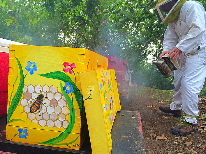 Beecasso original bee box art