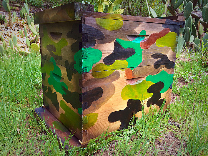 Hand-painted Beecasso bee box with abstract starburst