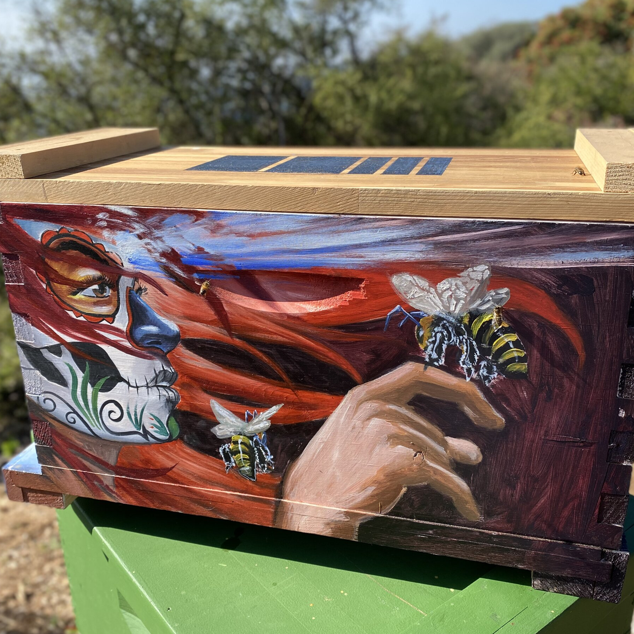 Dramatic hand-painted bee box by Steve Downs